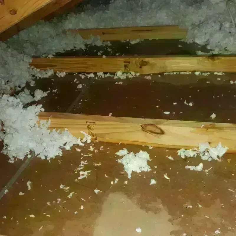 Attic Water Damage in Wixom, MI