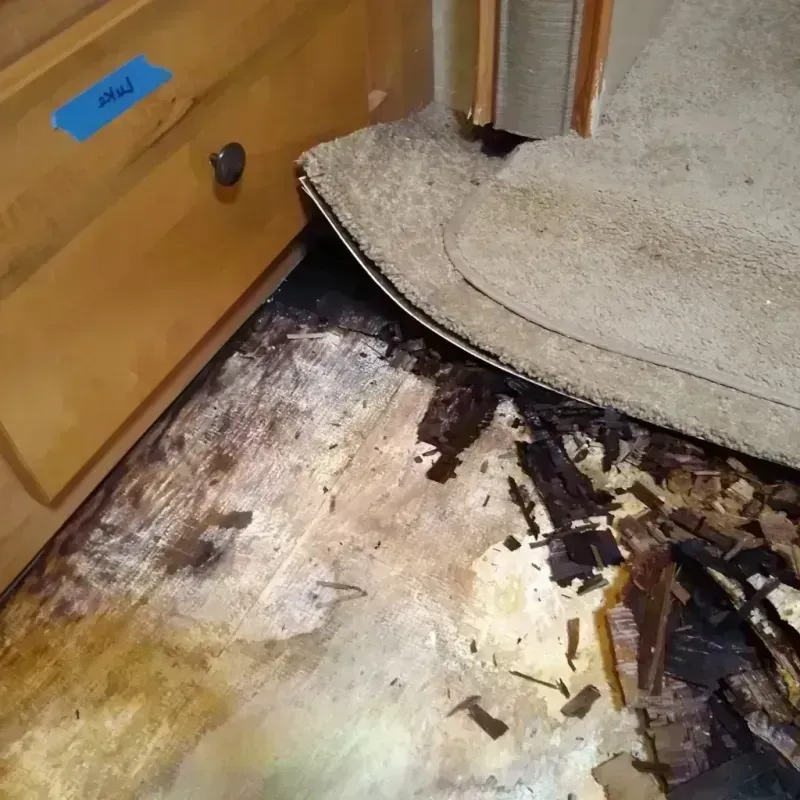 Wood Floor Water Damage in Wixom, MI